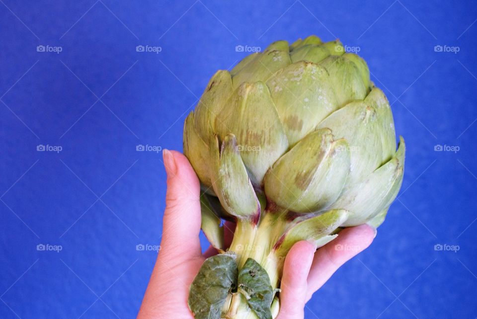 Artichoke 