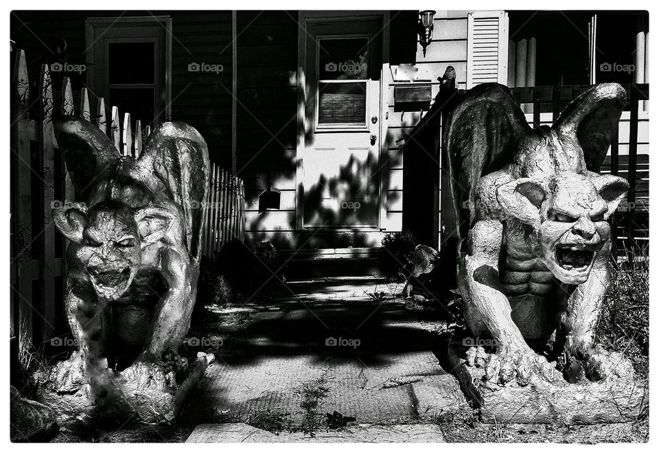 Monochrome, People, Mammal, Canine, Black And White