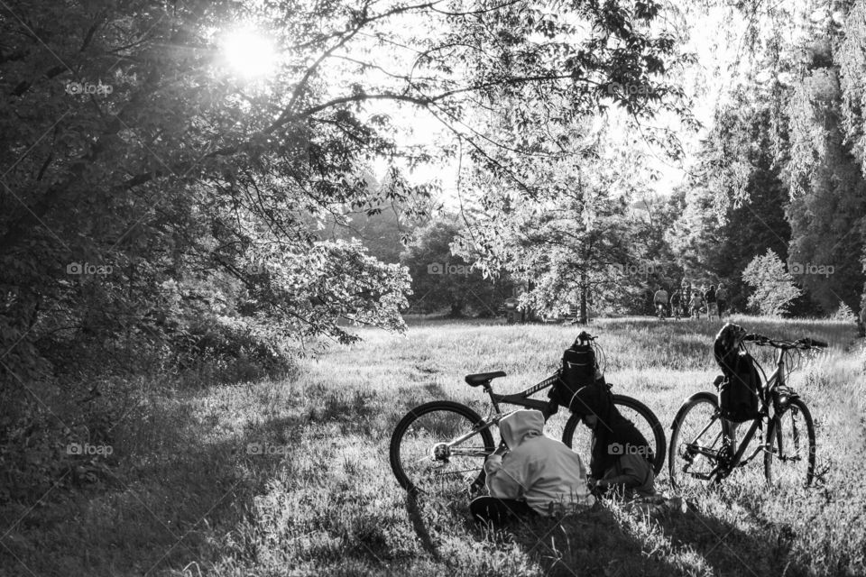 Children in the park - reading, resting, riding bicycles