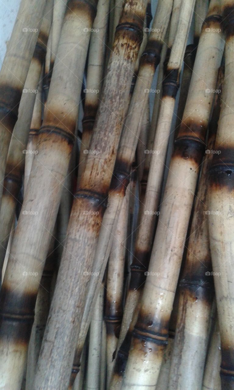 Bamboo poles. these are on the back porch