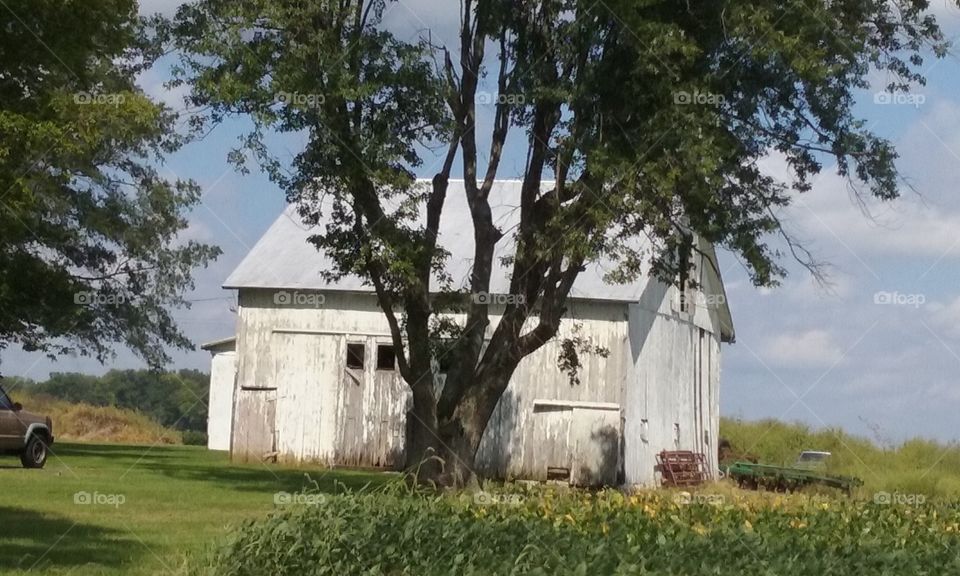 old Barn