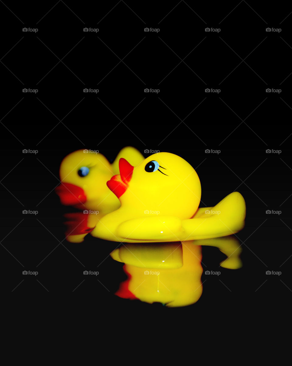 Toy duck. duck separated from their families