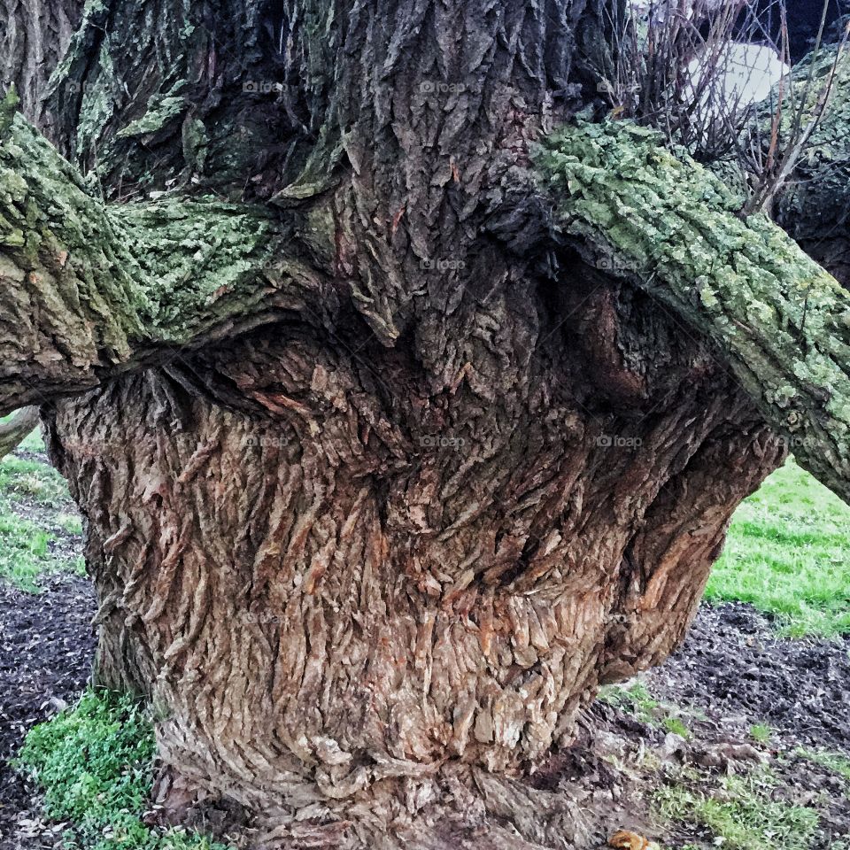 Greens level us on pretty much  on all levels...intertwined systems