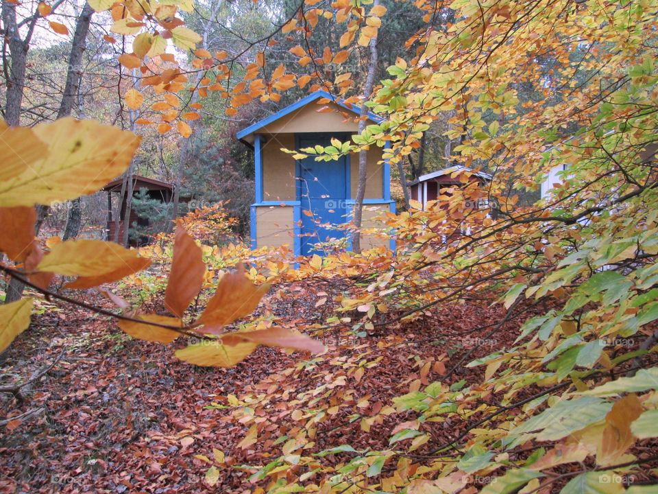 Beachhut in Autumn colors