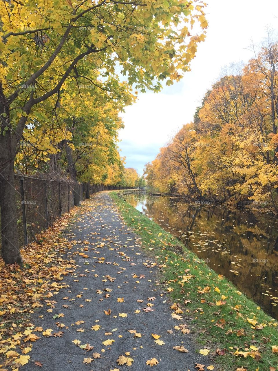 Fall Along Old Champlain Canal