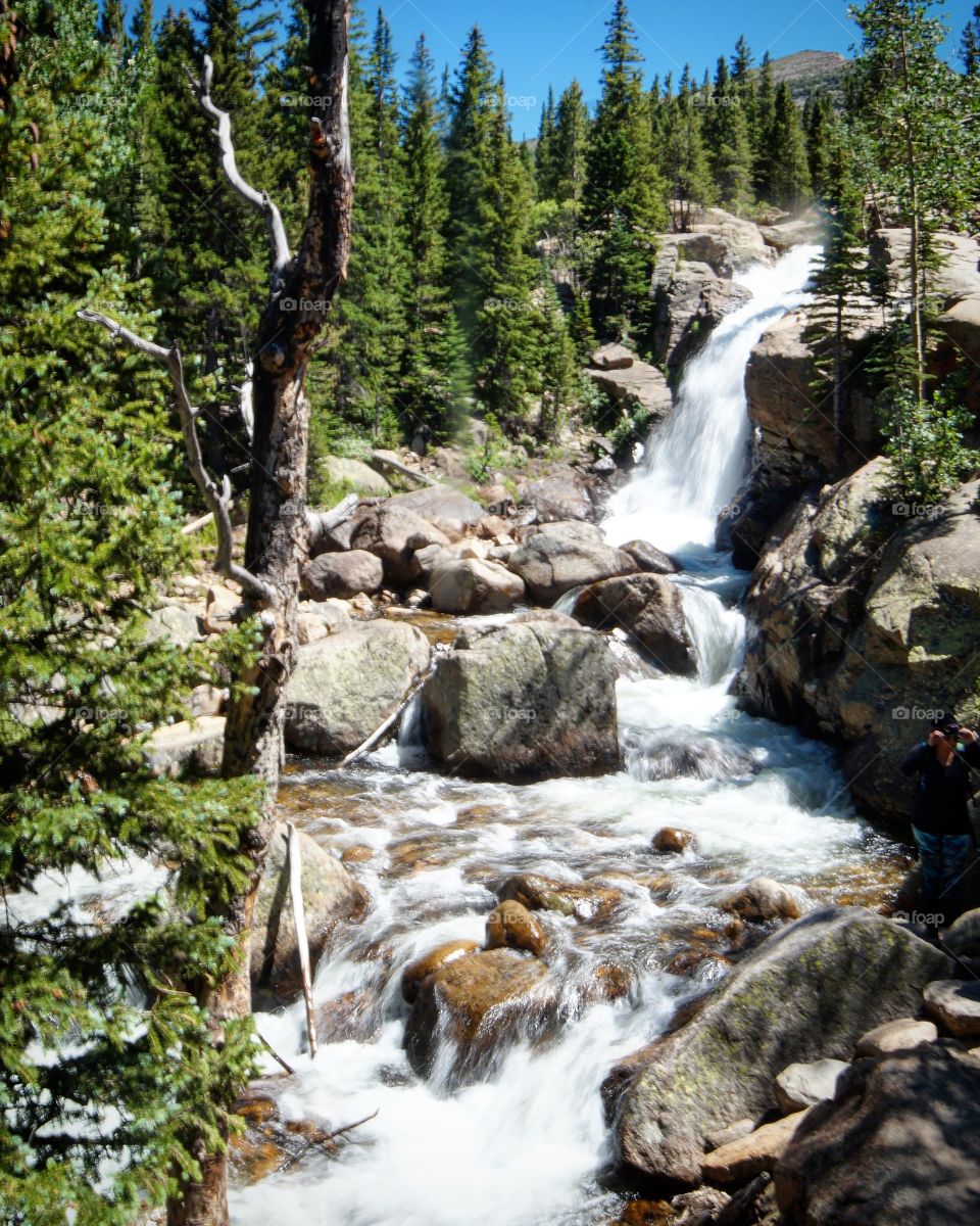 View of Alberta Falls