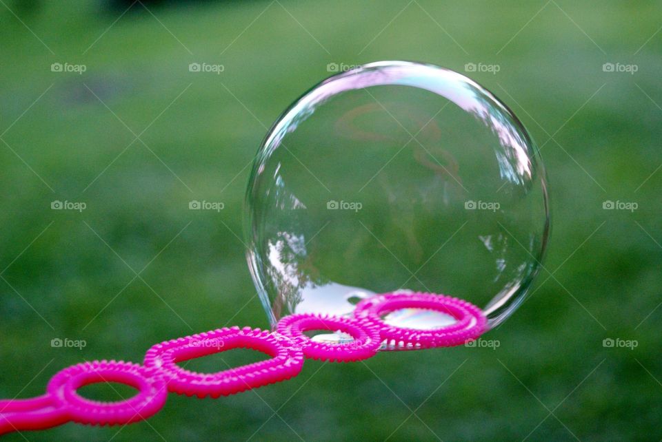 Close-up of bubble
