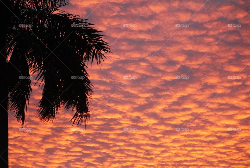 Sunset in Boynton Beach, FL 5