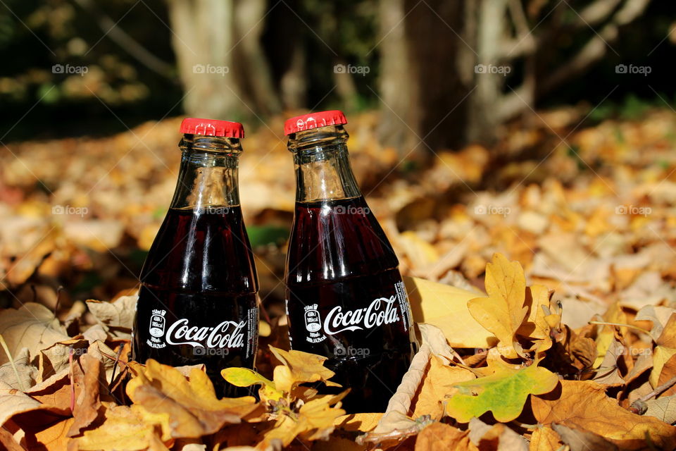 Enjoy the fall with coca-cola.