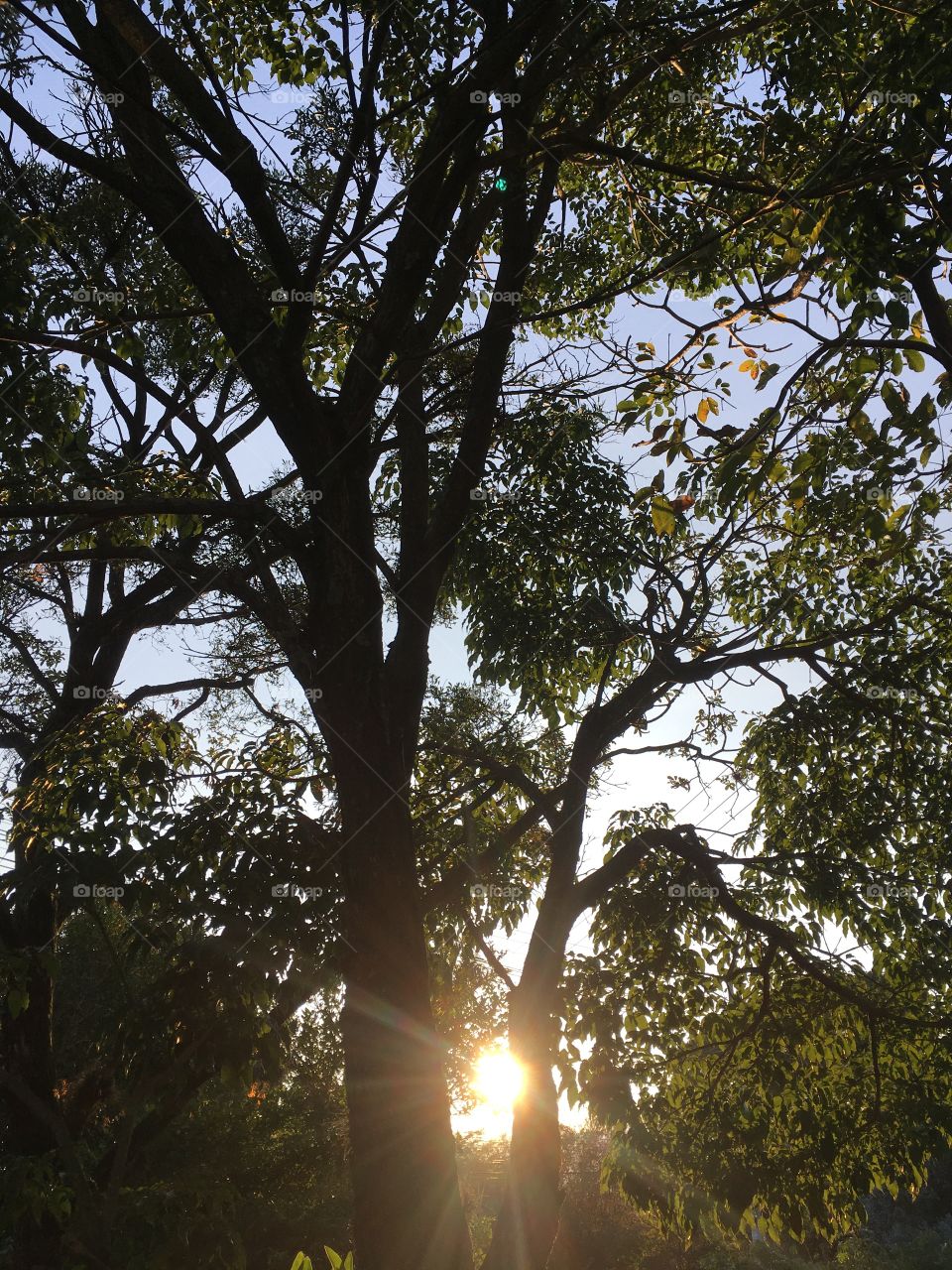 Desperte, Jundiaí. Olhe só o a Amanhecer aqui no Interior do Brasil ! Viva a natureza!