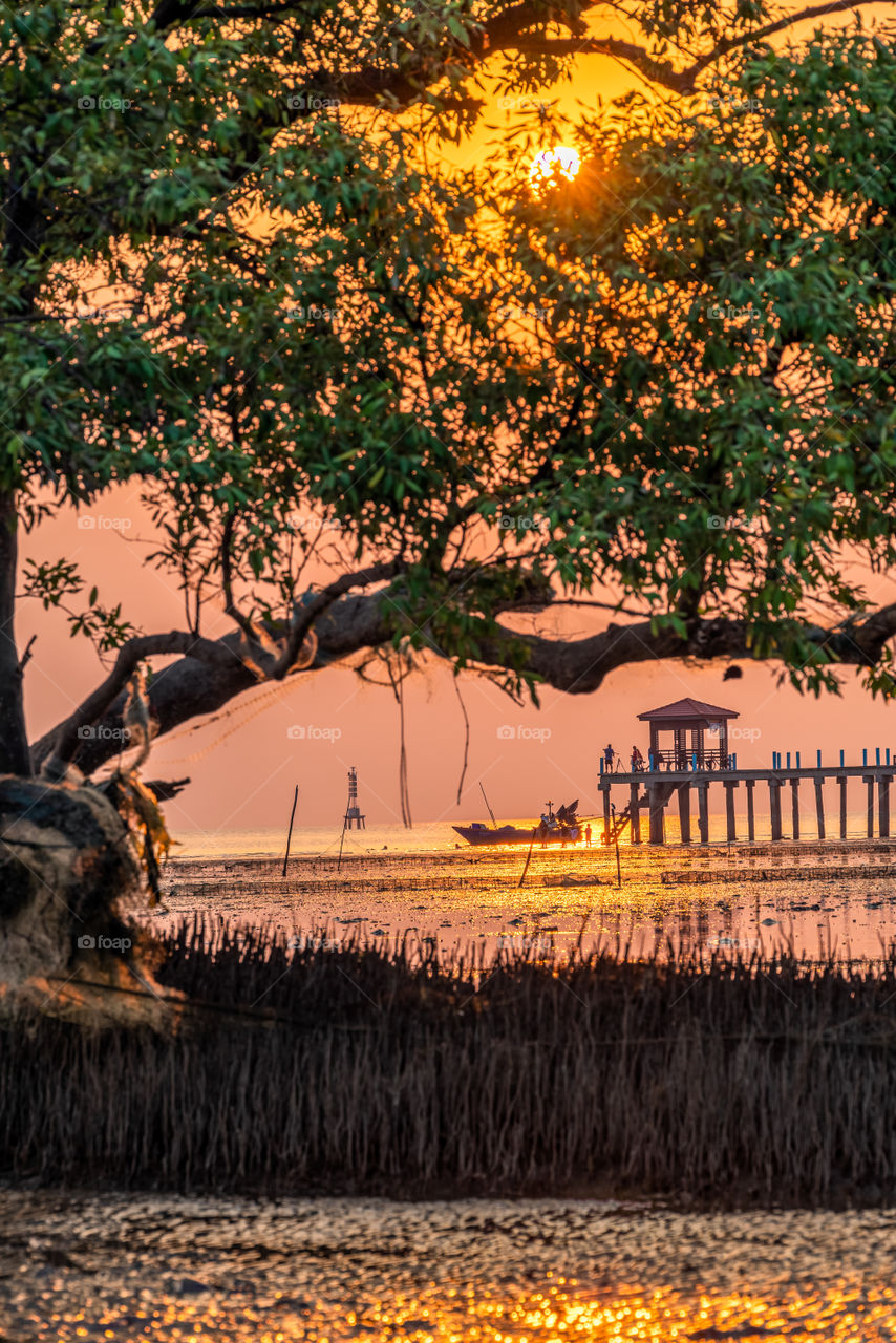 Beautiful twilight scene and tree background