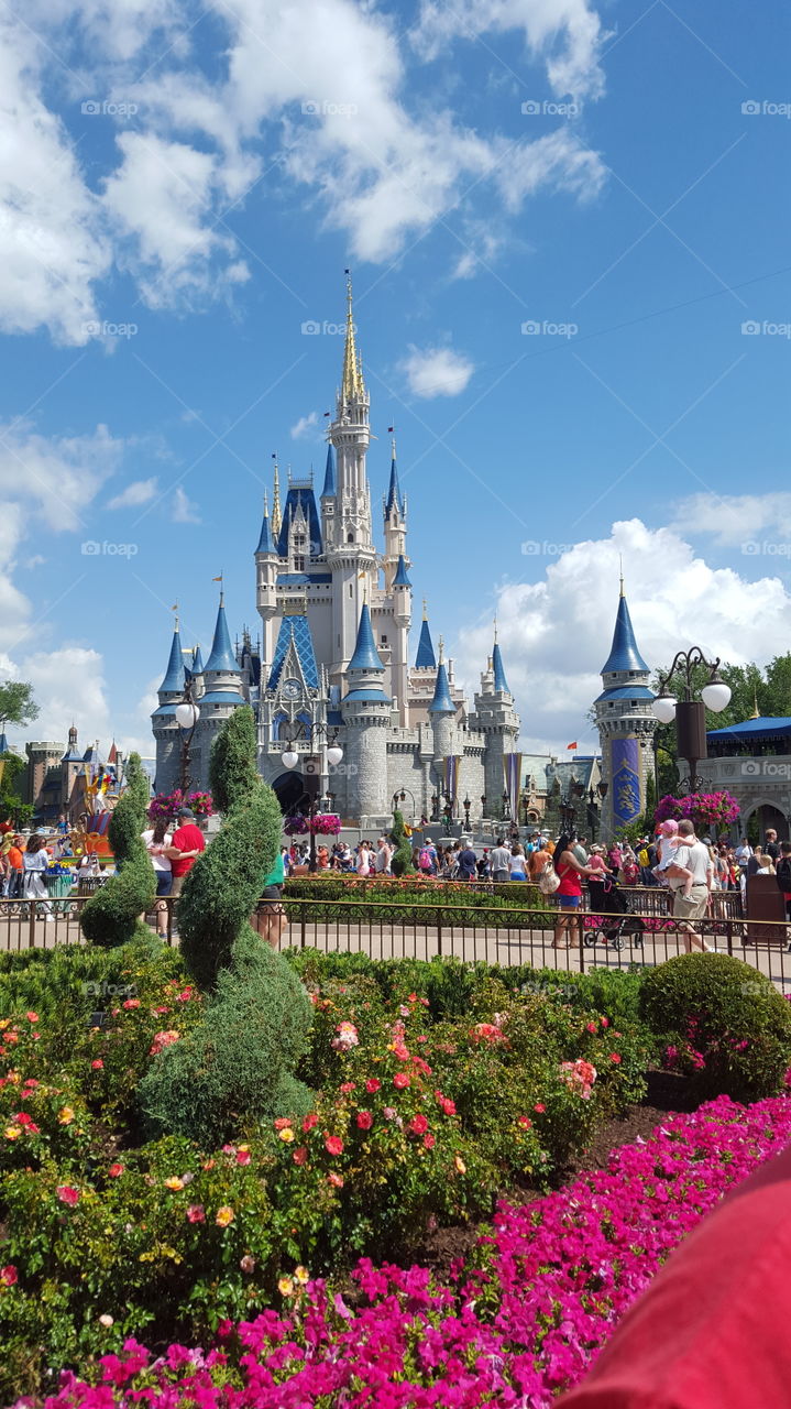 Magic Kingdom