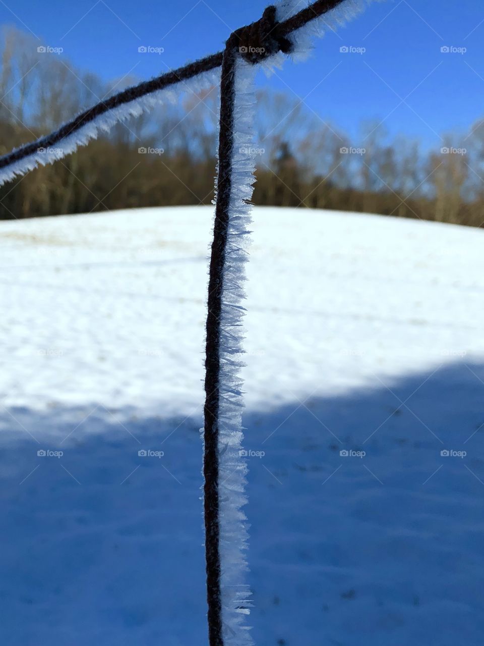 Ice crystals on a metal fence