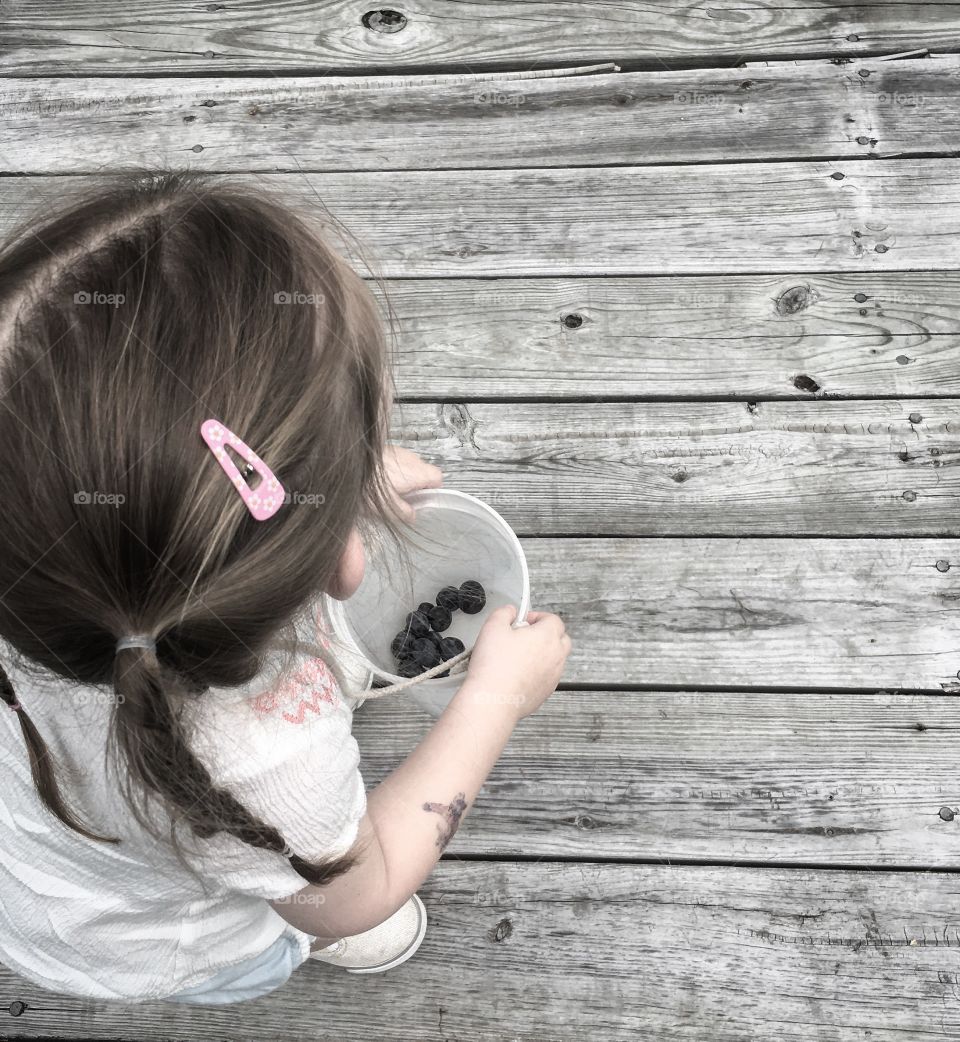 Little girl blueberry picking