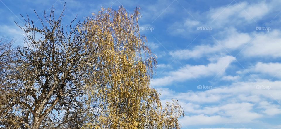 Herbst in Österreich