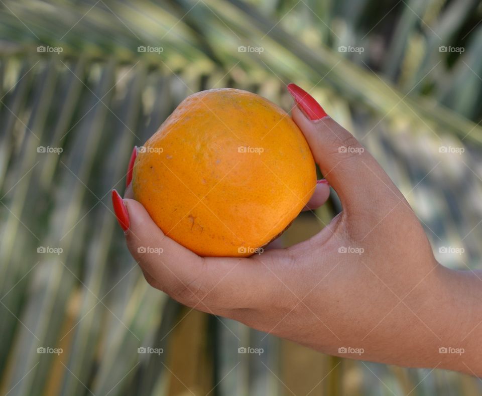 Healthy orange fruit on hand