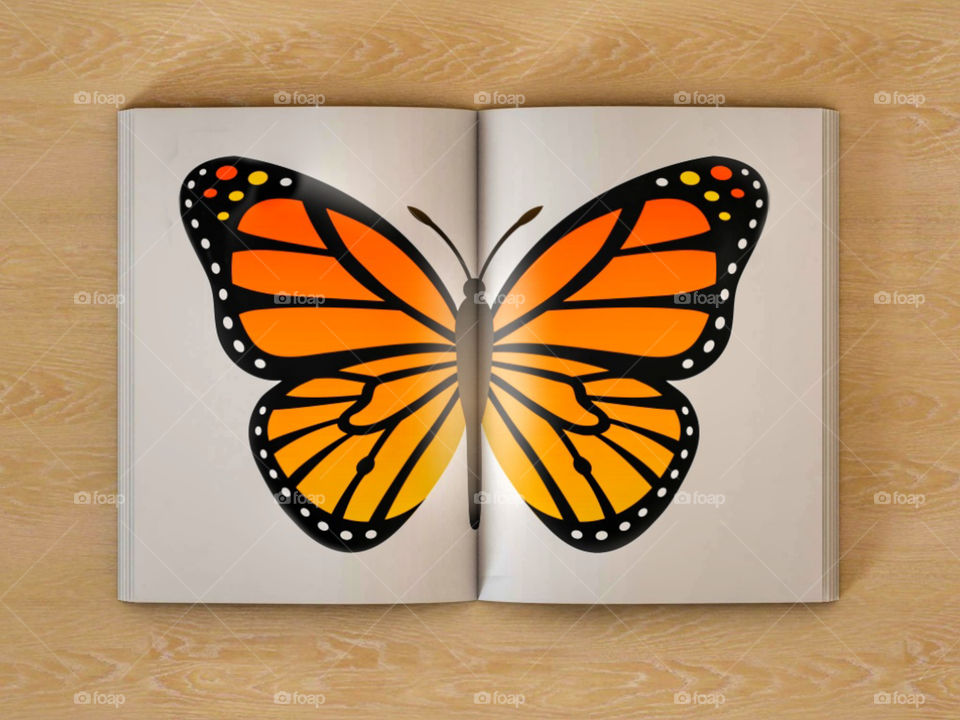 symmetrical view in magazine