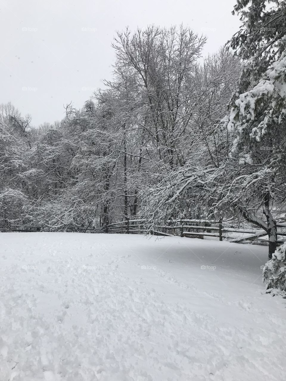 Snow storm in March 2018
