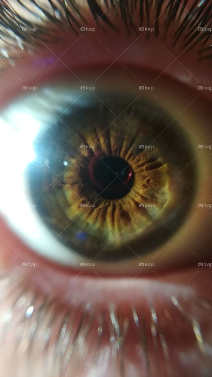 macro eye