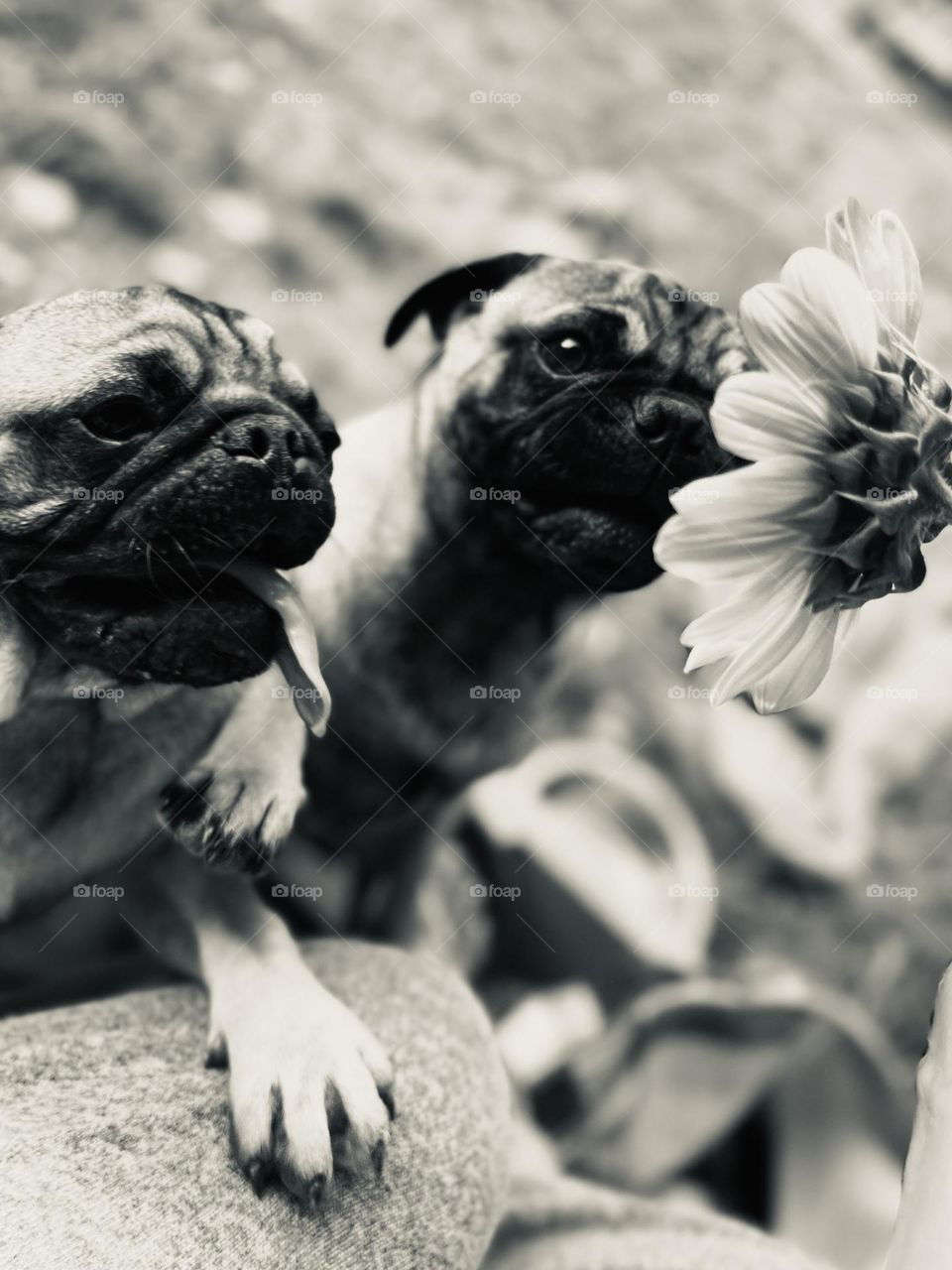 Stand back brother, I got this