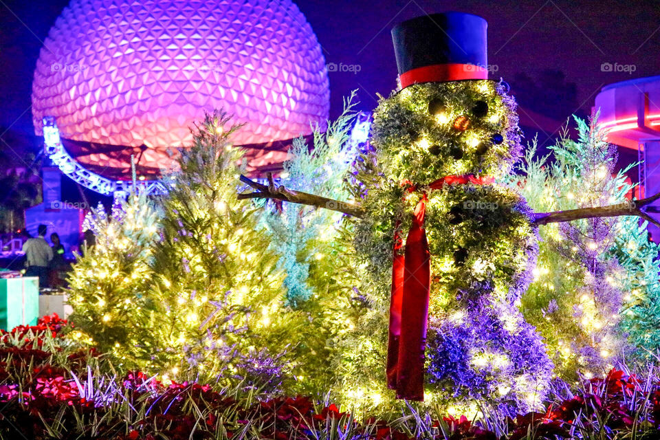 Epcot Holiday Celebration 