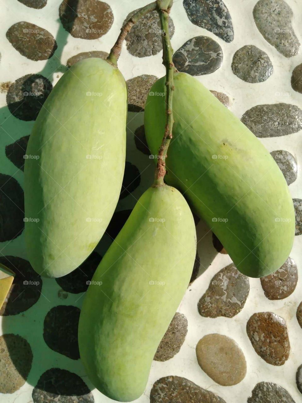 Mango from Vientiane, Lao PDR.