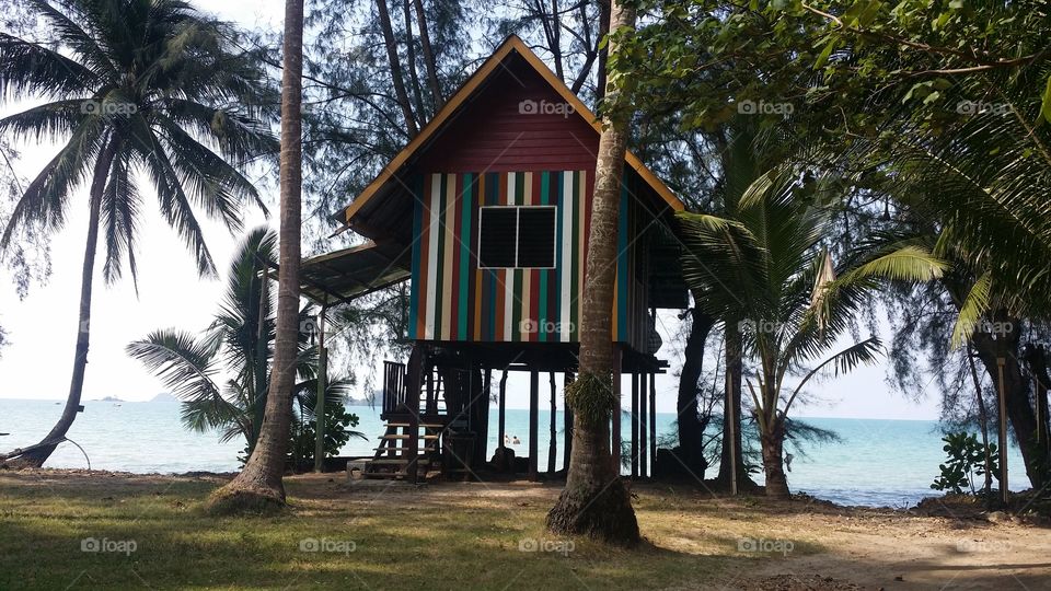 Colorful tree house on the beach