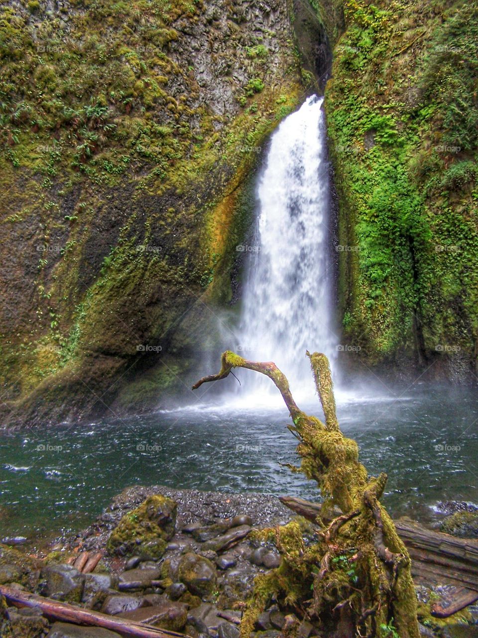 Scenic view of waterfall