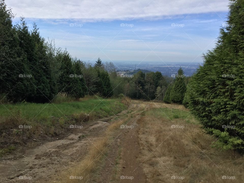 View from the top of the Mountain in Abbotsford, British Columbia, Cana 