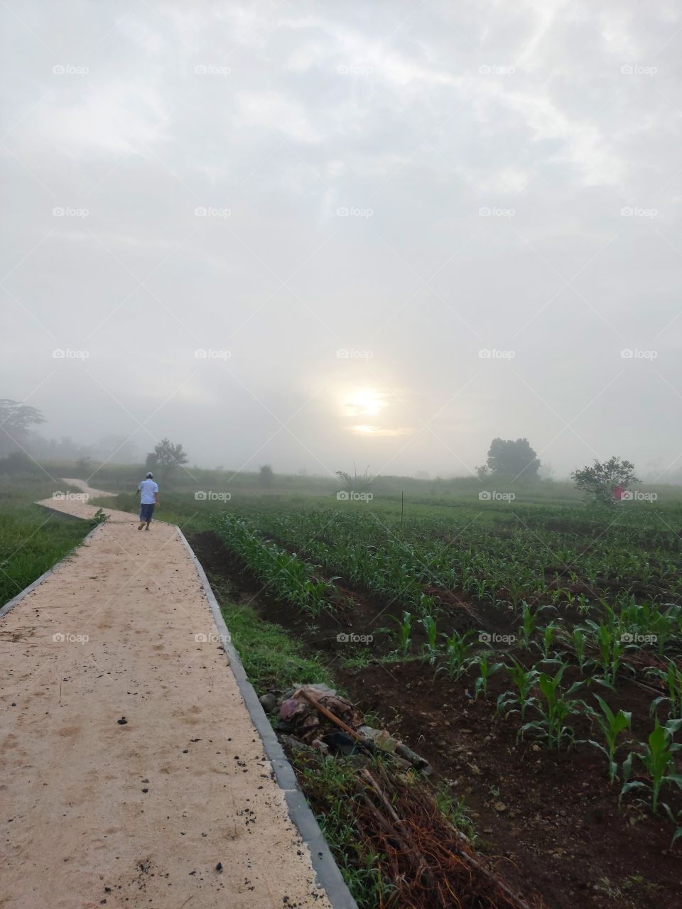 walking on a cold and foggy morning