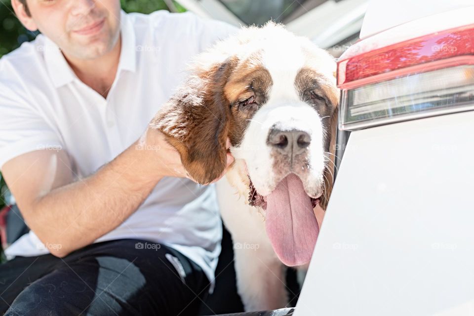 man and dog in car