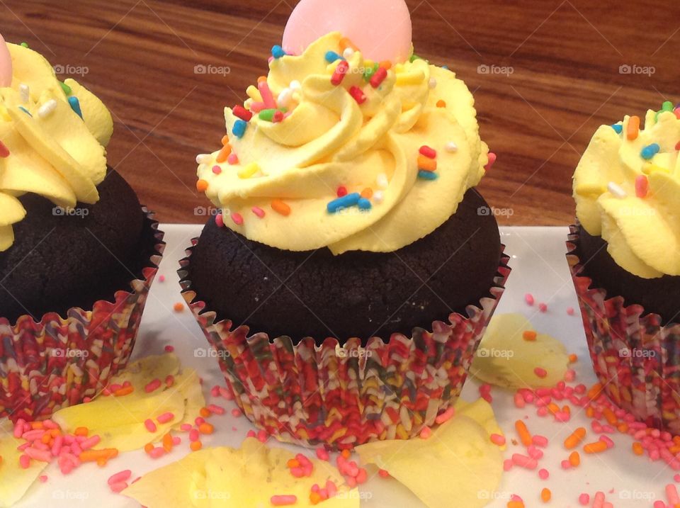 Chocolate cupcakes with rainbow colored sprinkles.