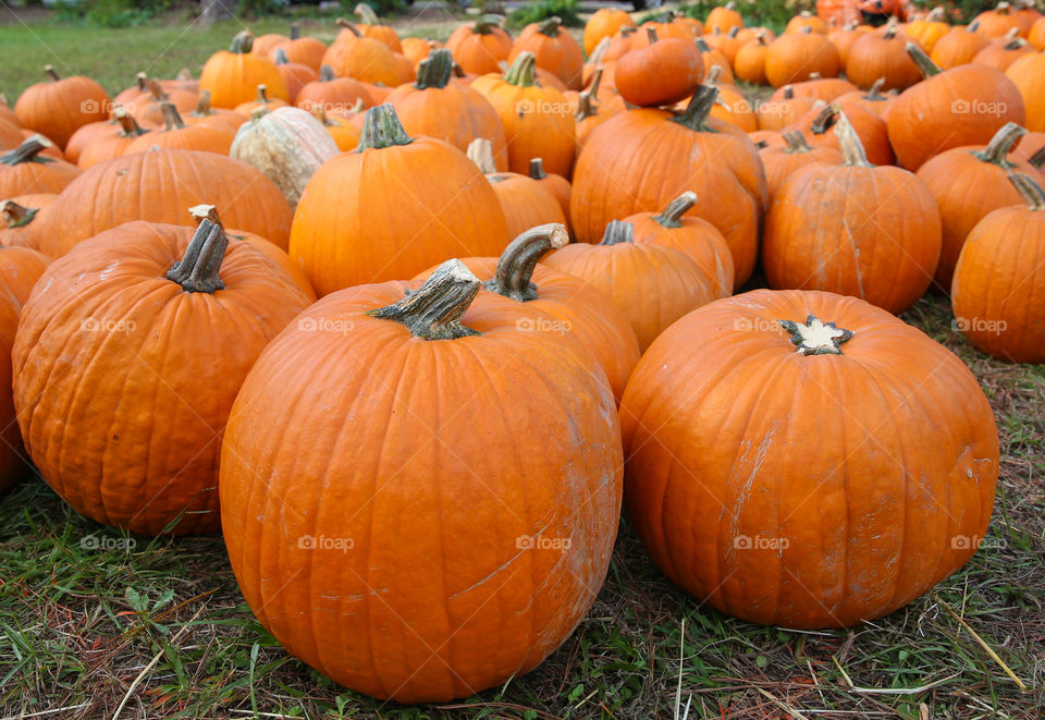 Pumpkins