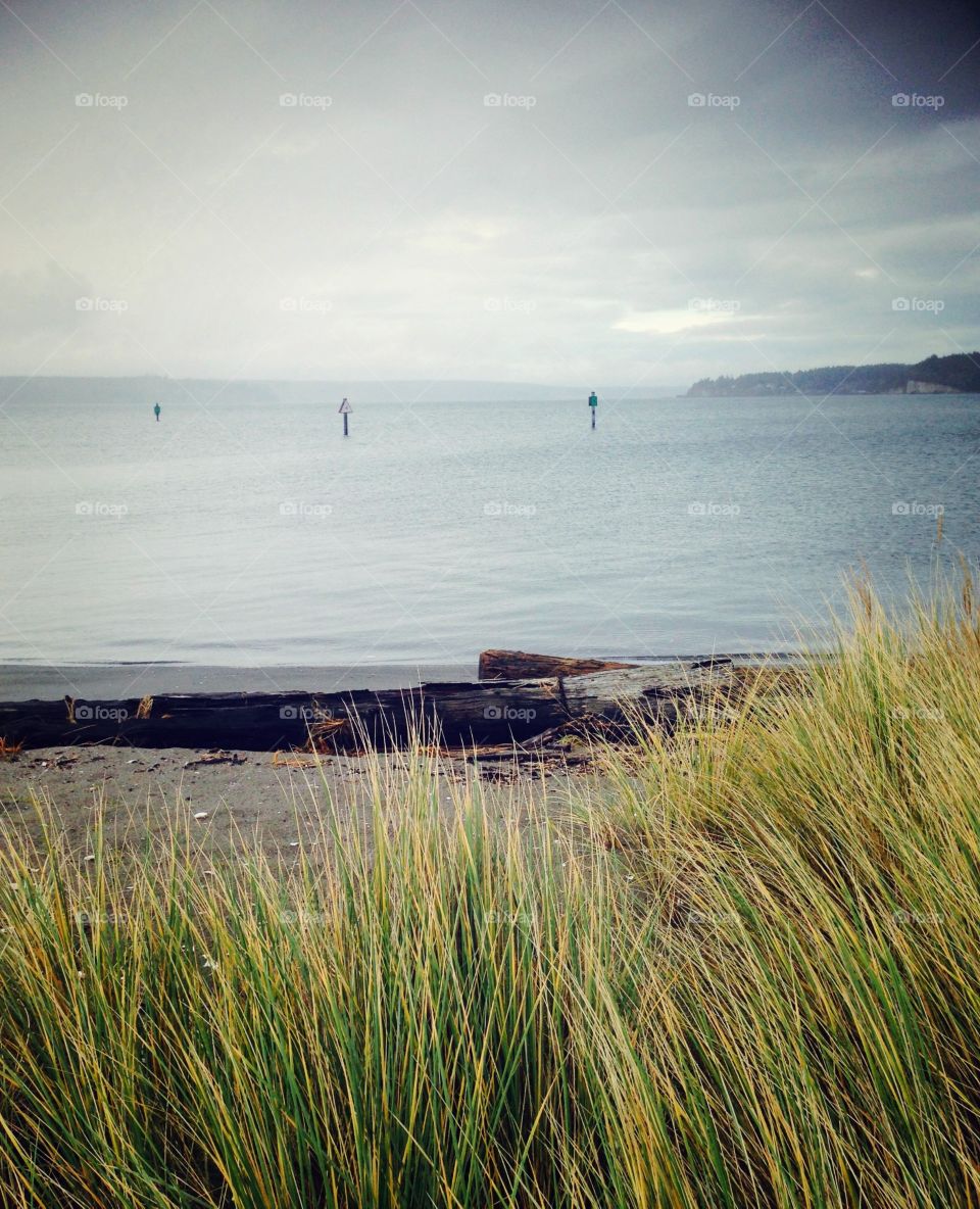 Ocean View. Puget Sound