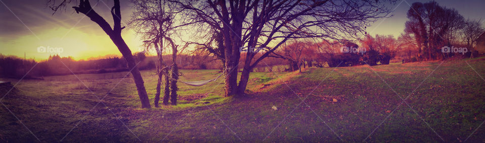 A panoramic view of a winter sunset in rural France, bare trees with a long unused hammock are in the foreground 