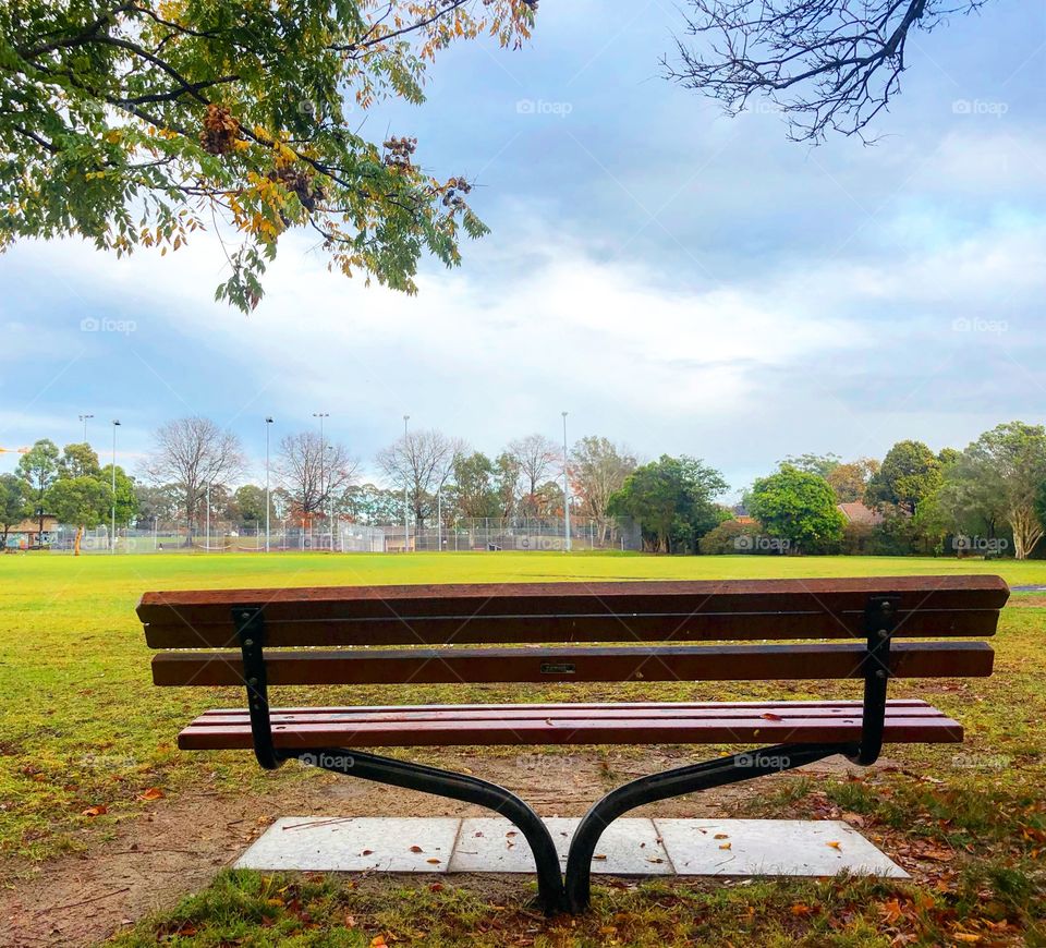 The park bench on an overcast day