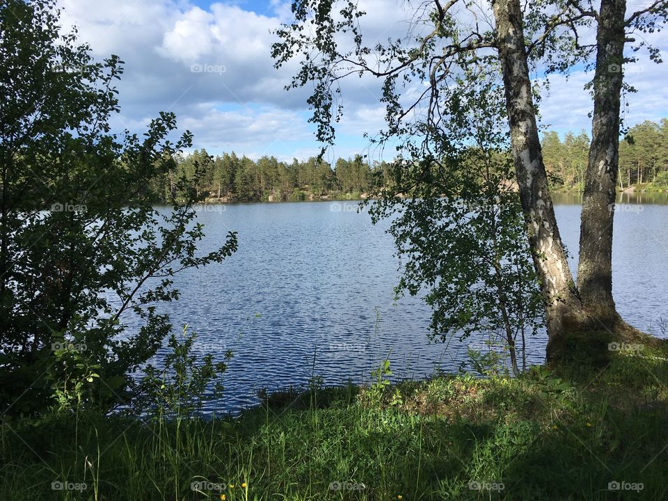 Lake view in Kolmården, Sweden 