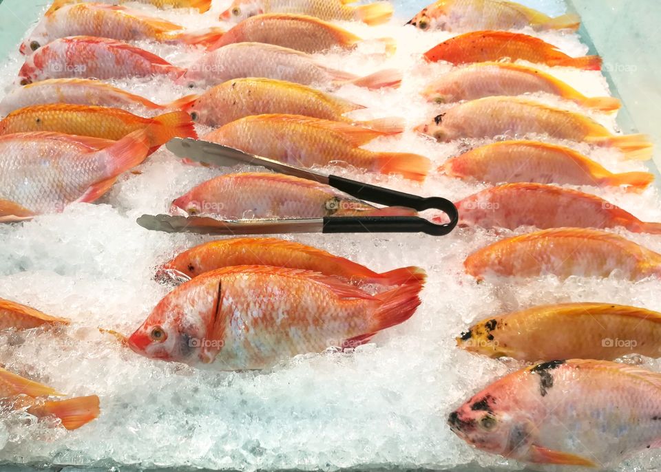Red tilapia on the ice. Fresh fish for sale at fish market.