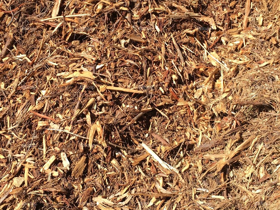 Bark mulch close up
Background