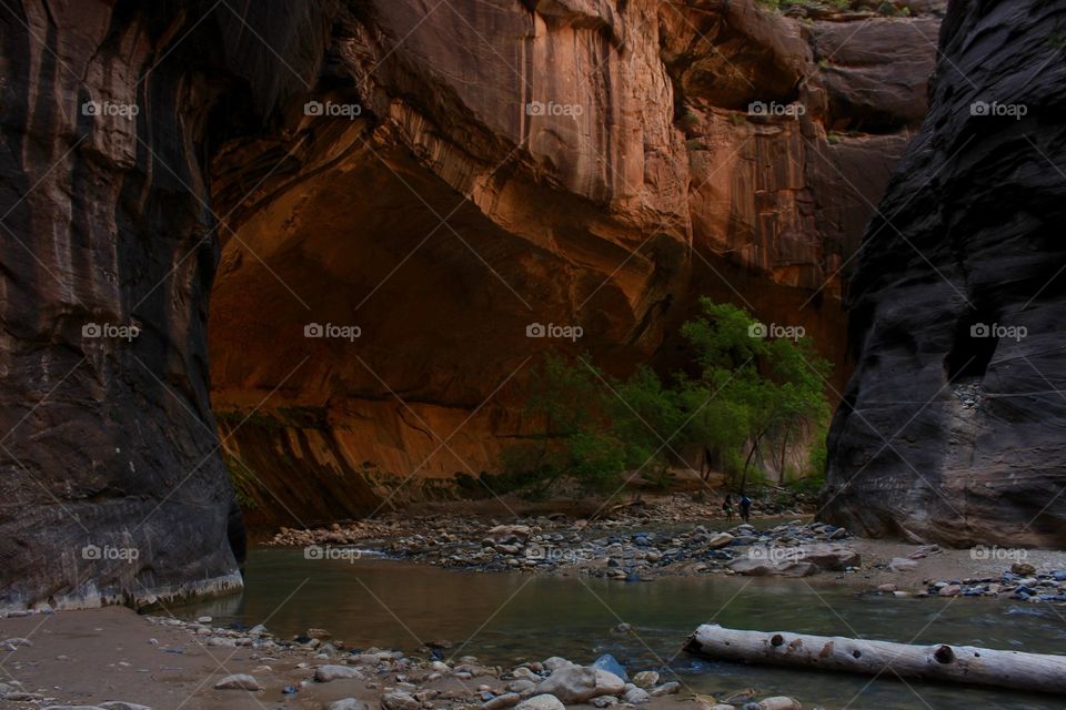 The narrows in Zion national park make me feel as though I'm in a prehistoric subway. 