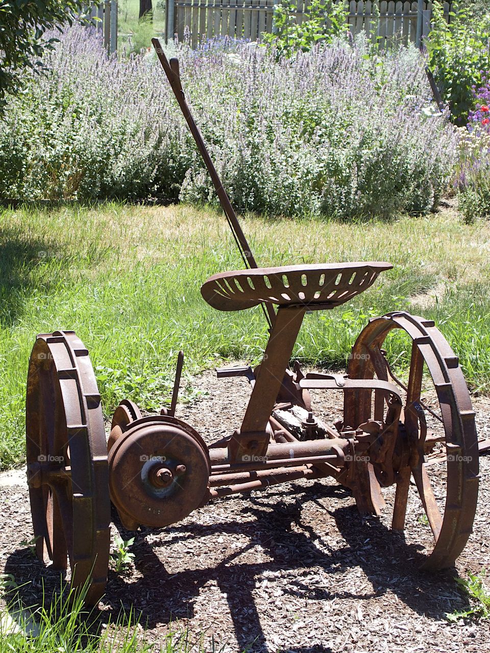 A rusted old field plow being used as an ornamental garden decoration in Central Oregon on a sunny summer day. 