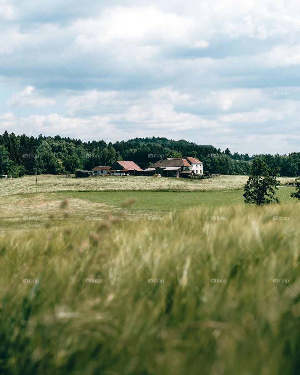 A rural scene with a farm in the center 