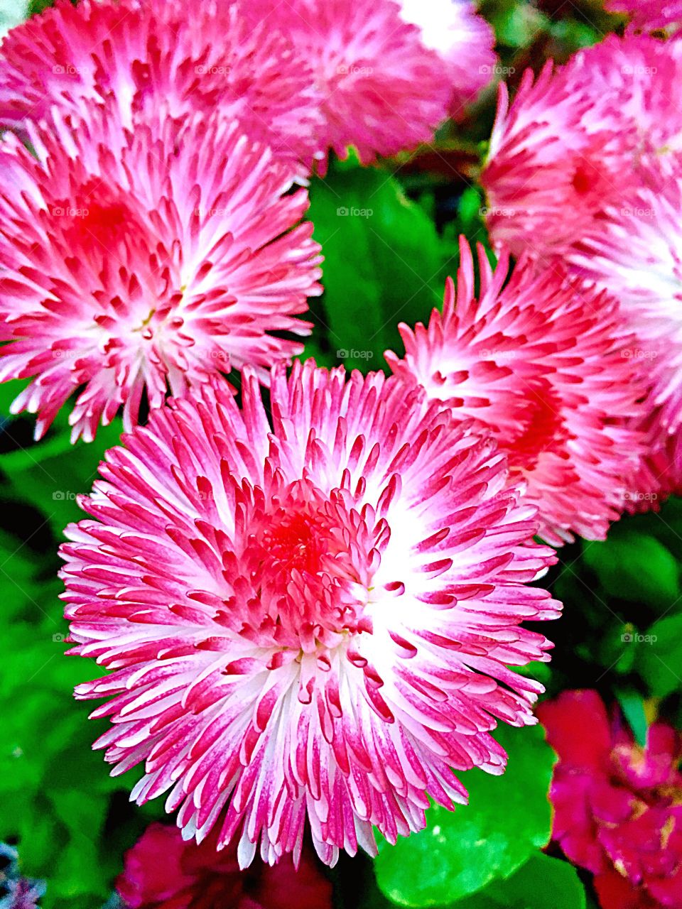 Captured with iPhone 6s Plus 