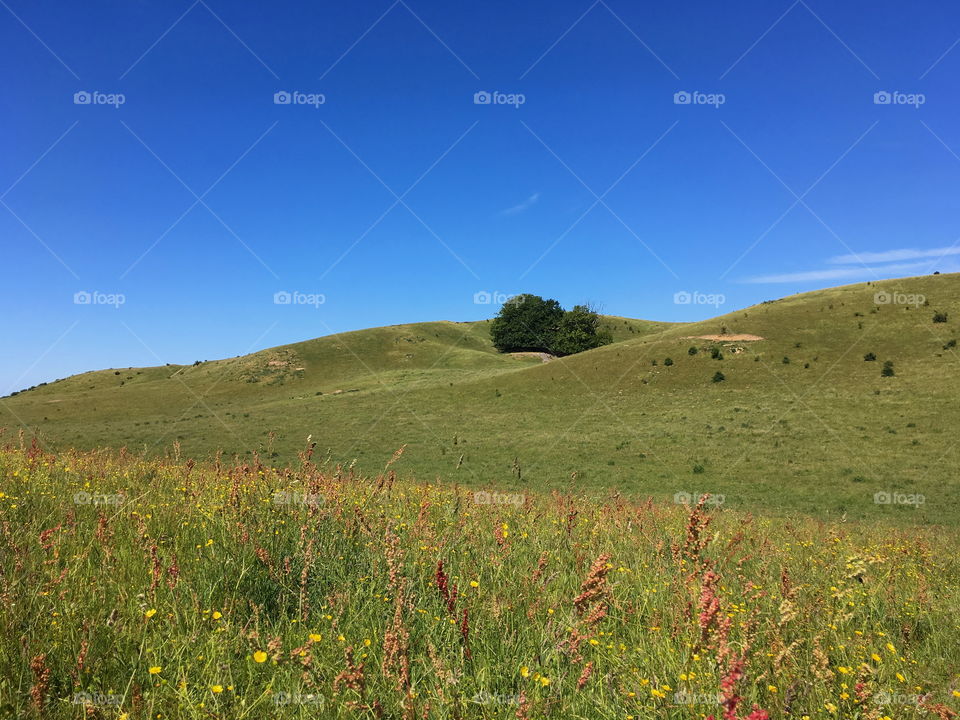 Nature walking, hike in Sweden