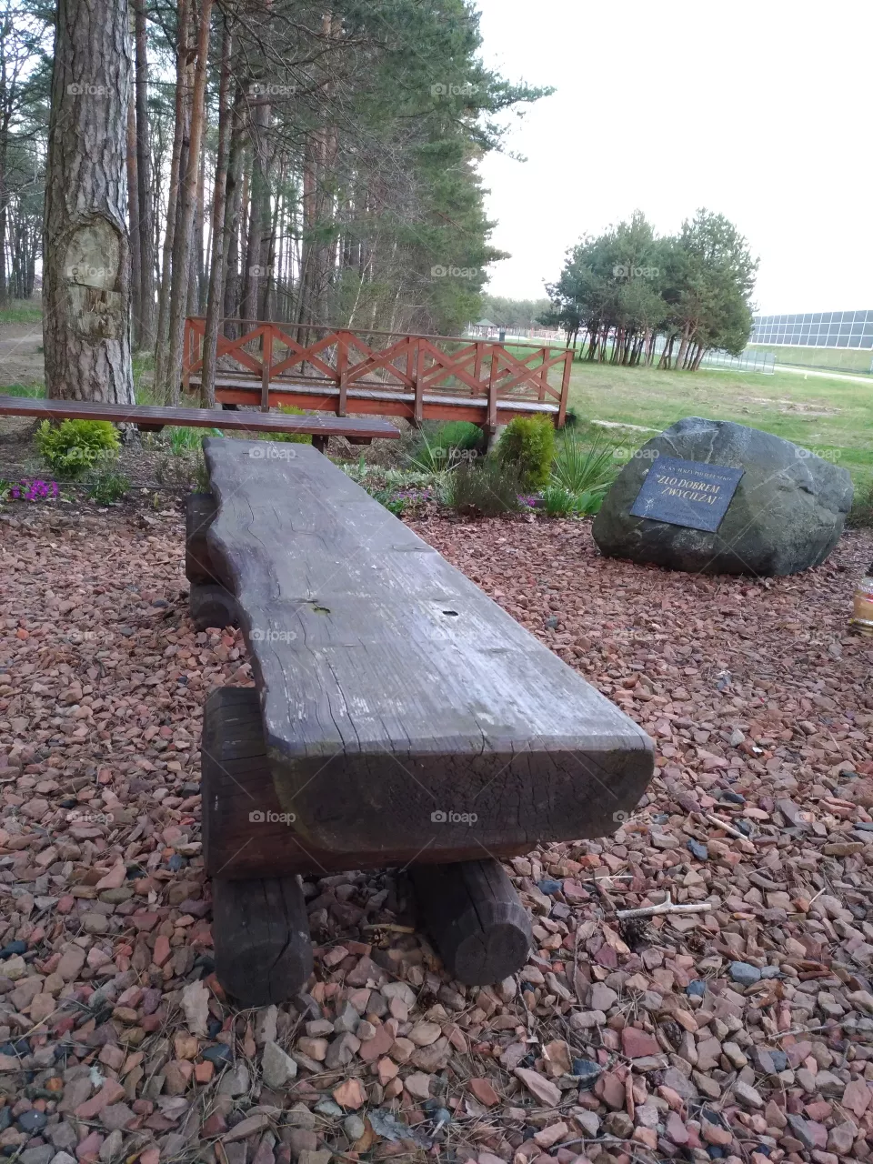 bench