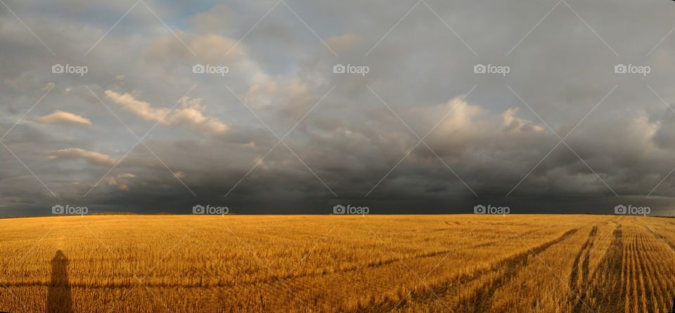 Autumn field