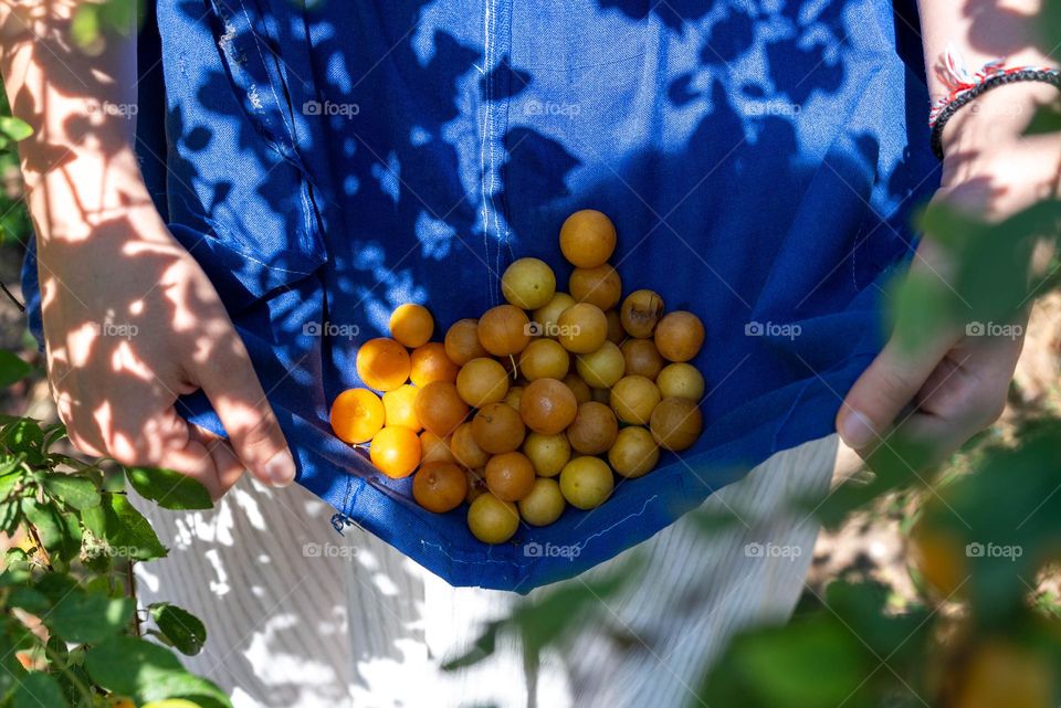 Complementary Colors