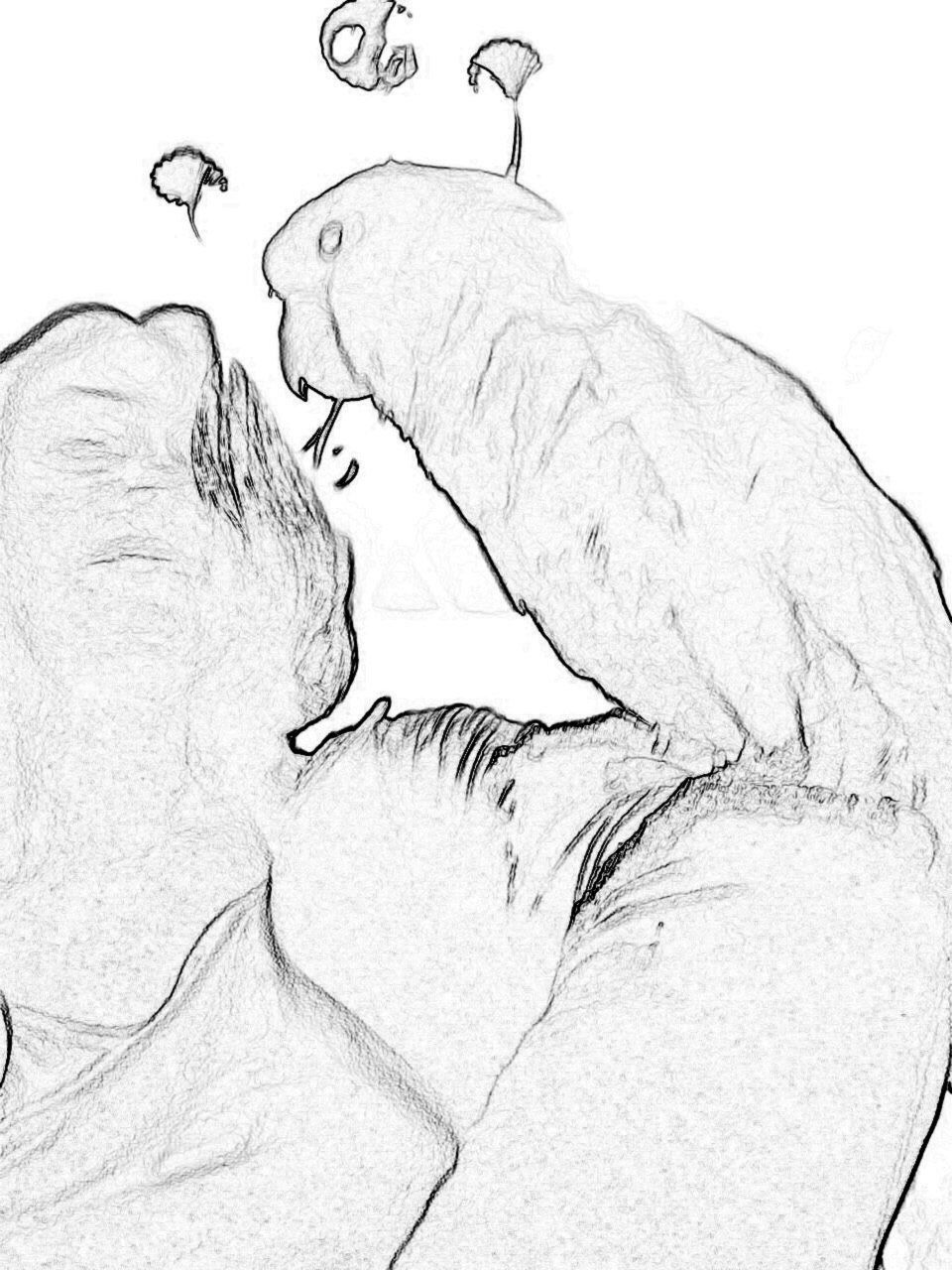 Digital Sketch - Love Cockatoo 