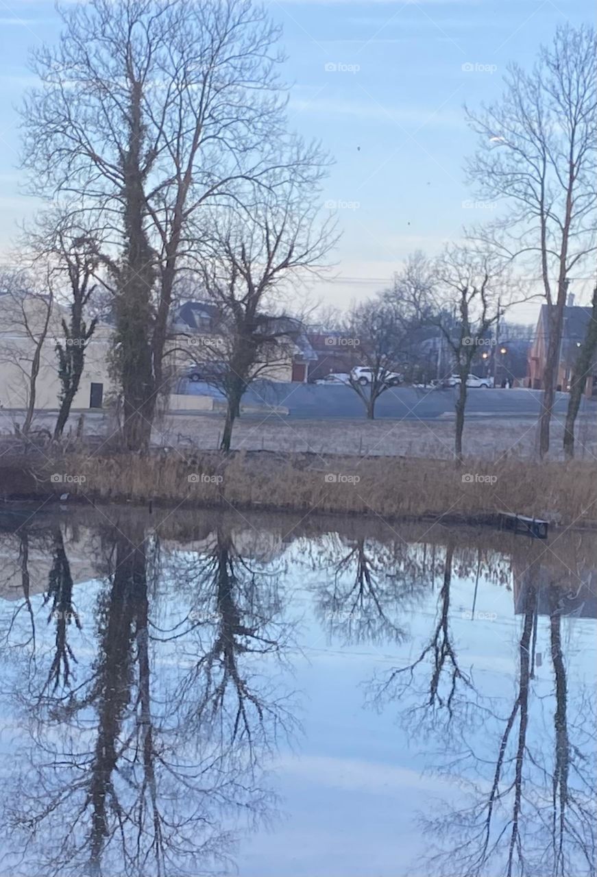 Tree reflection in river water 