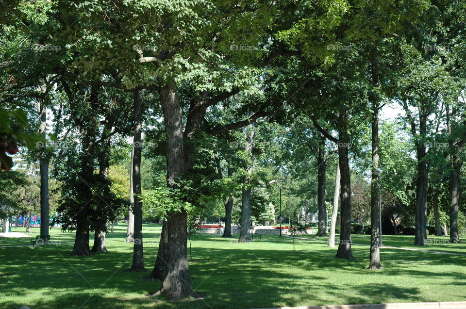 Summer at the Park. Tree-lined Downtown City Park with flowers and a fountain